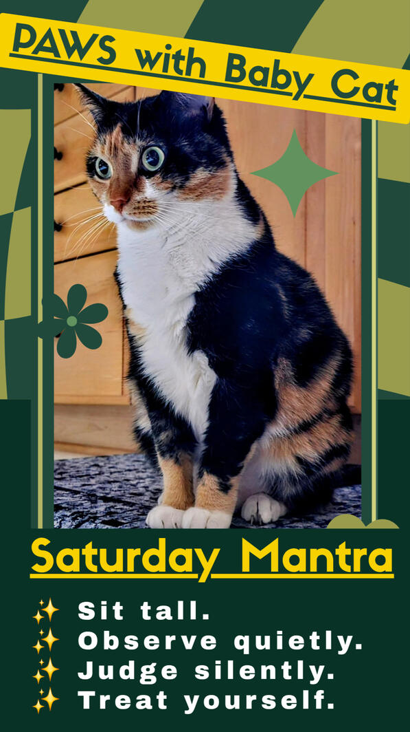 😸 Mantra