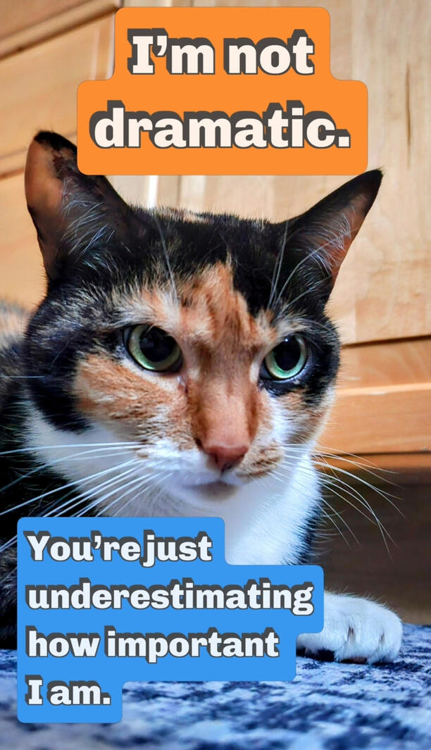 Important, not Dramatic